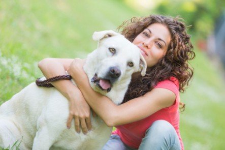 dog walker franconia