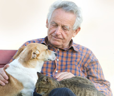 pet care service clermont