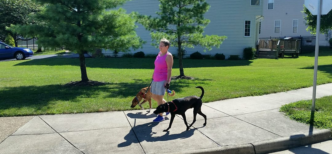 An Honest Look at Being a Dog Walker - Rover-Time